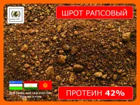 Шрот рапсовый (42% протеин на АСВ) Кыргызстан, Узбекистан